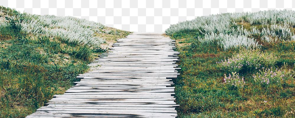 Png path toward beach border sticker, nature on transparent background
