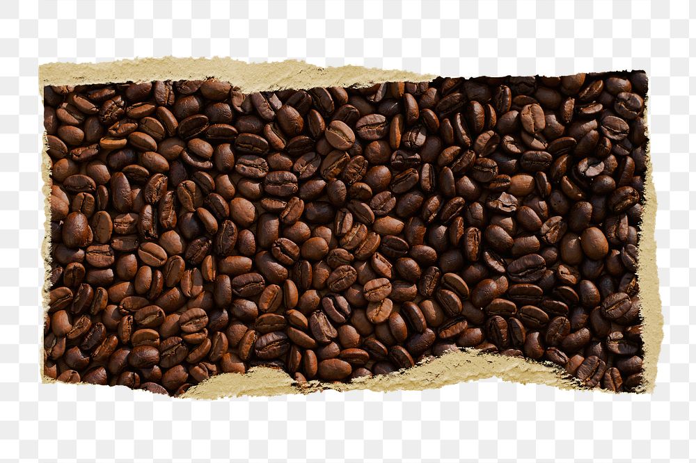 Aesthetic coffee beans png sticker, ripped paper, transparent background