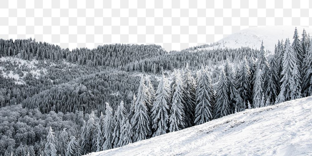 Winter forest png border, transparent background