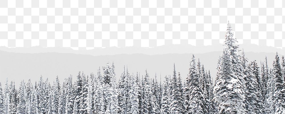 Winter forest trees png border, torn paper design, transparent background