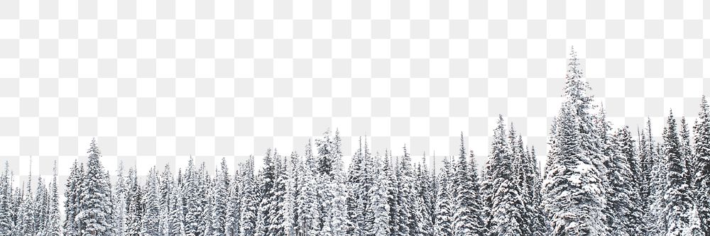Winter forest trees png border, transparent background
