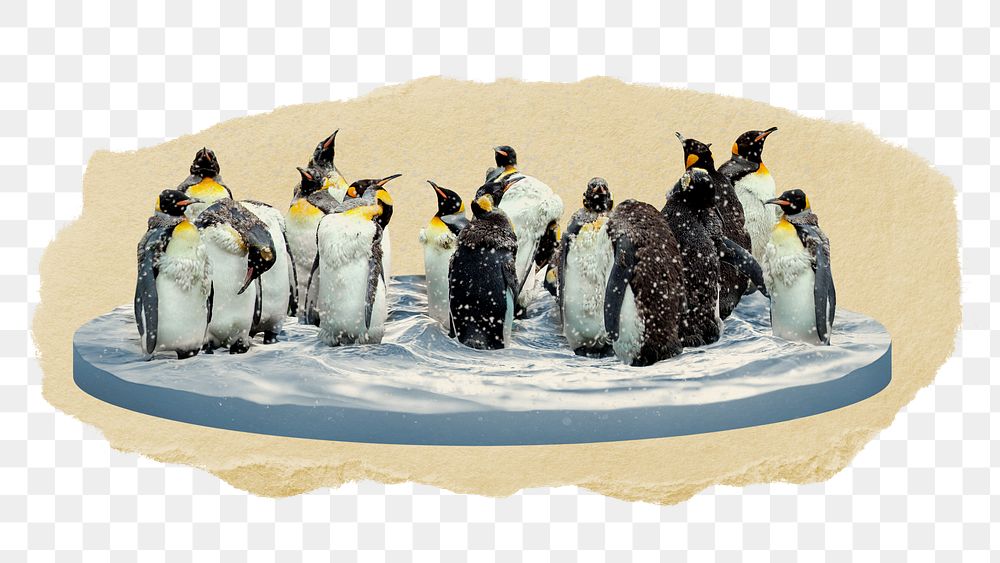 Penguins png sticker, ripped paper, transparent background
