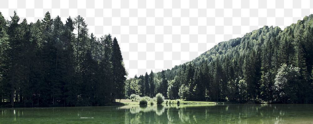 Forest landscape png border, transparent background