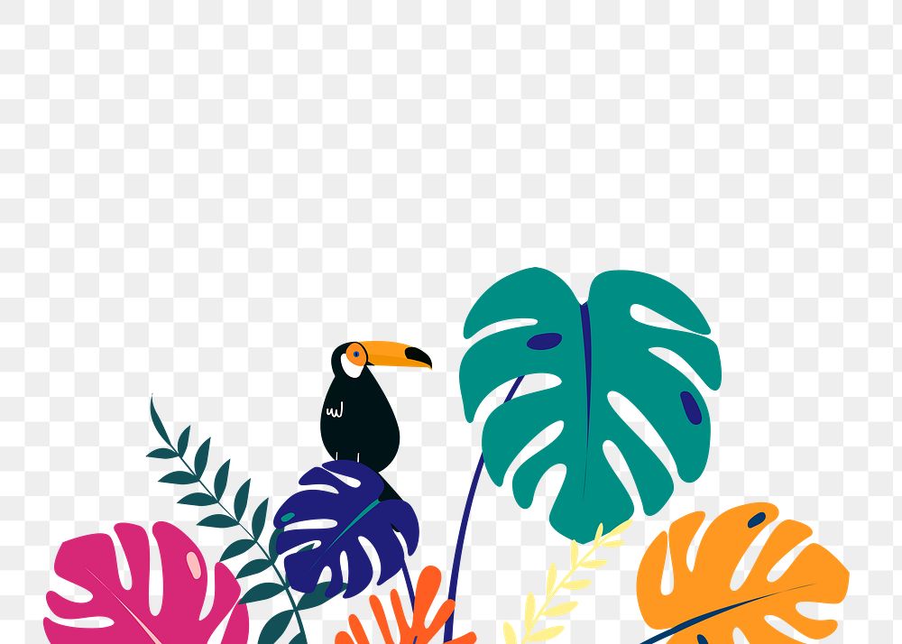 Toucan botanical border png, colorful summer aesthetic tropical background with toucan and flaming, transparent background
