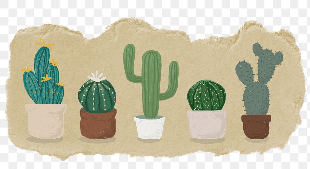 Cactus houseplant png sticker, ripped paper, transparent background