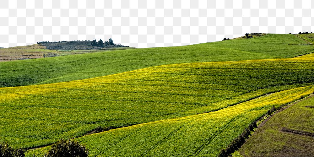 Green hills png border, transparent background