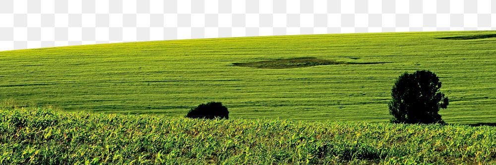 Aesthetic farm png border, transparent background, agriculture