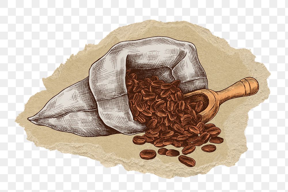 Coffee bean bag png sticker, ripped paper, transparent background