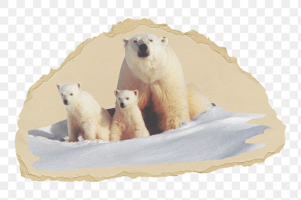 PNG A Mom and her Cubs., collage element, transparent background