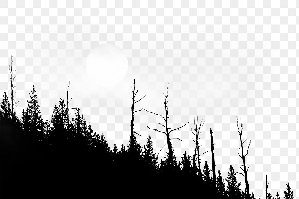 Forest silhouette png border, full moon photo, transparent background