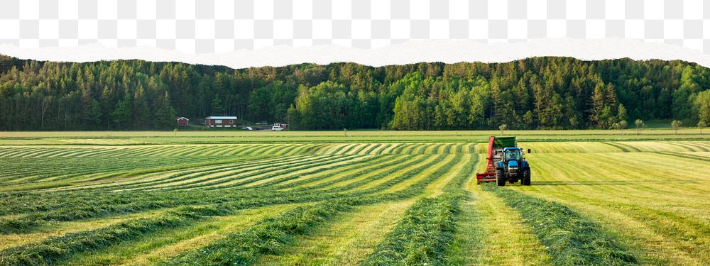 Farm scenery png, ripped paper effect, transparent background