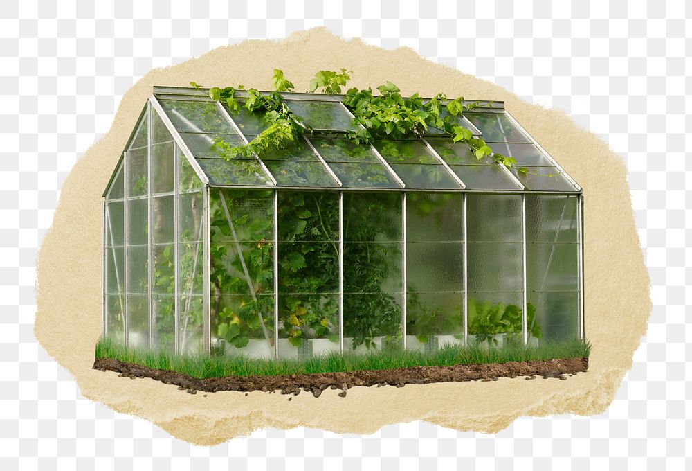 PNG Small greenhouse, collage element, transparent background