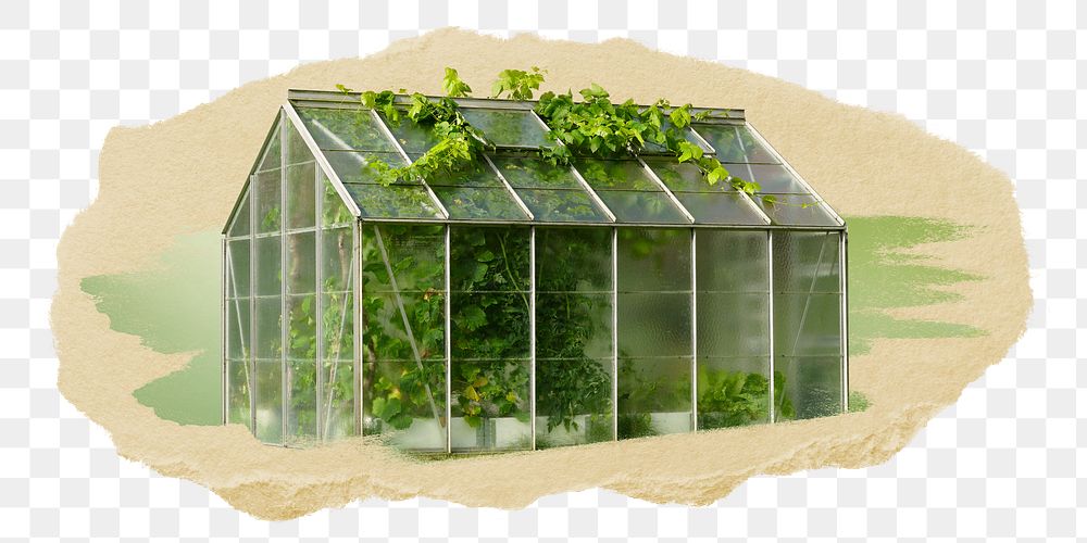 PNG Small greenhouse, collage element, transparent background