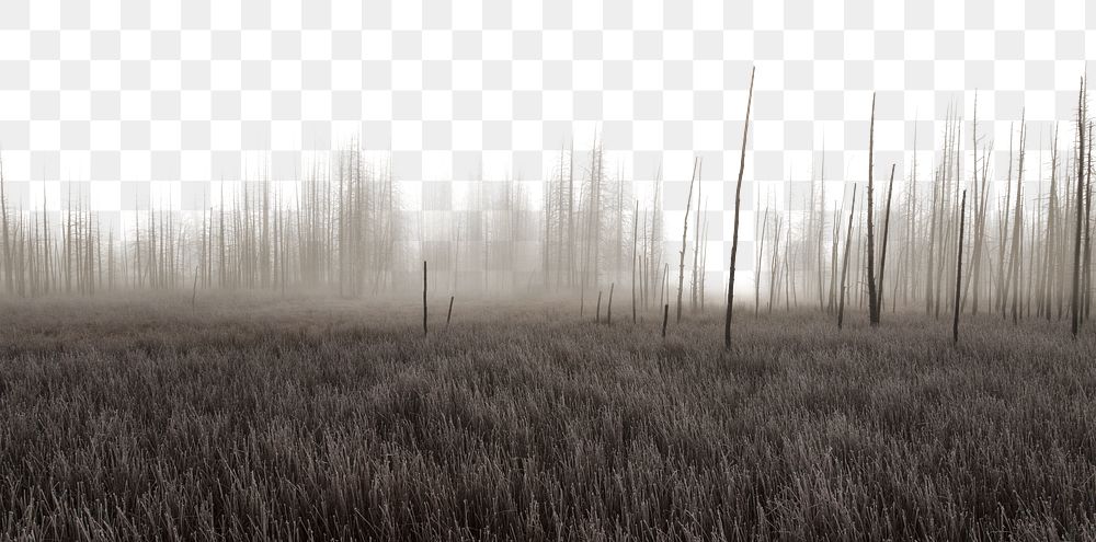 Foggy grass field png border, nature photo, transparent background