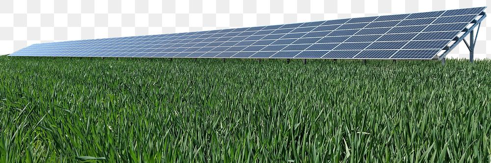 Solar panel png grass field border, renewable energy, transparent background