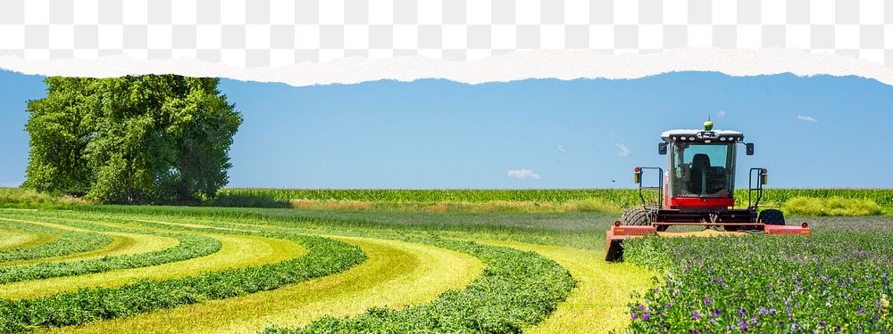 Farm scenery png, ripped paper effect, transparent background