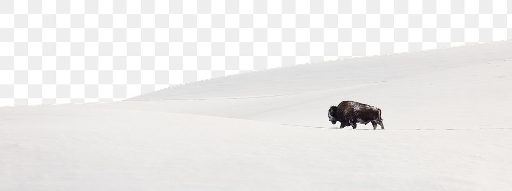 Snowy hill png landscape border, nature during Winter, transparent background