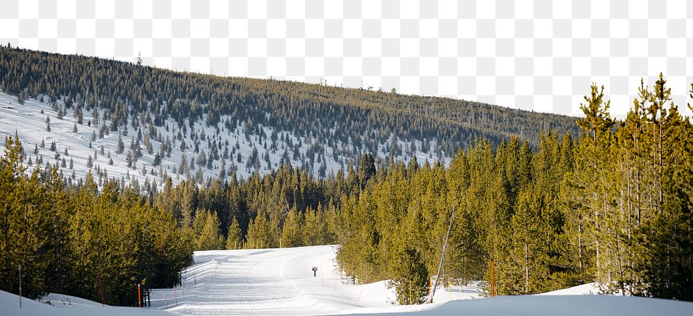 Pine forest png border, winter landscape image, transparent background