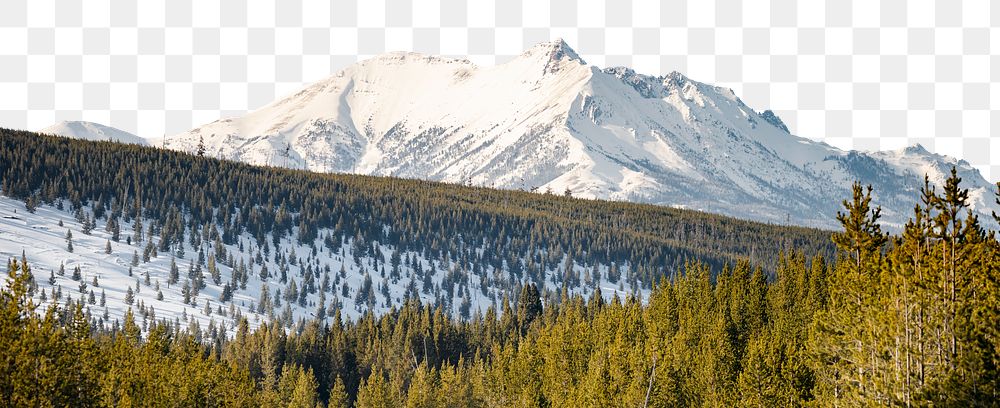 Pine forest png border, winter landscape image, transparent background