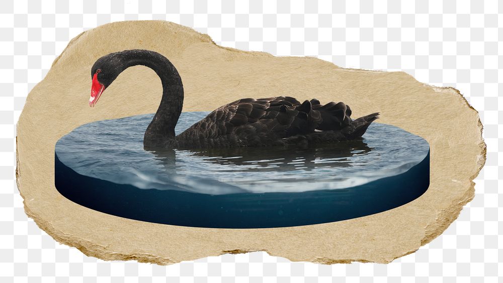 Black swan png sticker, ripped paper, transparent background