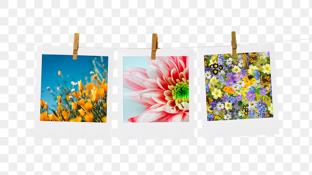 Spring flowers png instant photo collages, transparent background