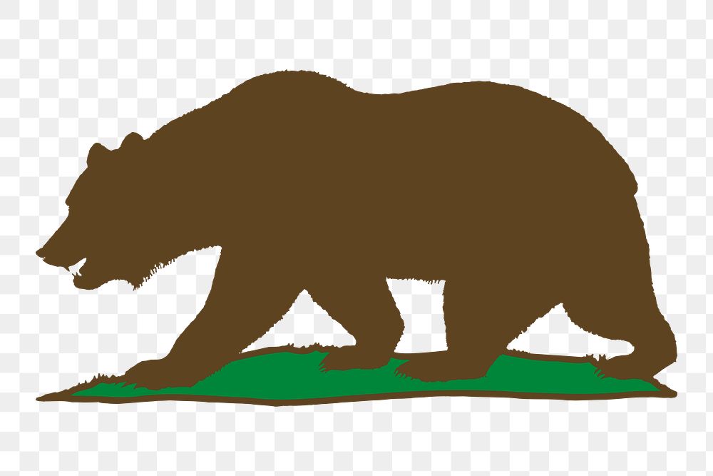 Grizzly bear png sticker, transparent background. Free public domain CC0 image.