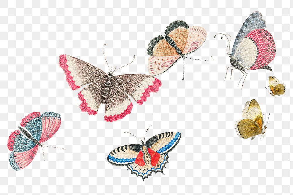 Flying butterflies png sticker, vintage insect, transparent background