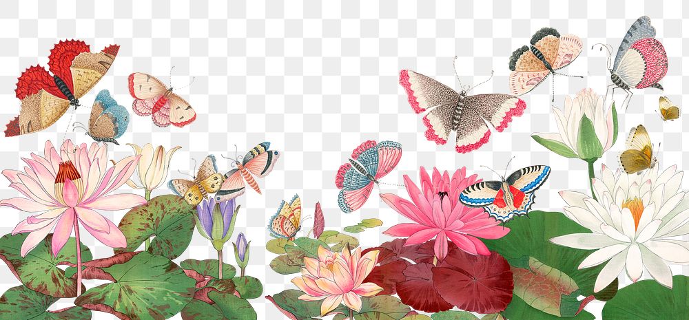 Lotus flowers png border, aesthetic butterfly illustration, transparent background