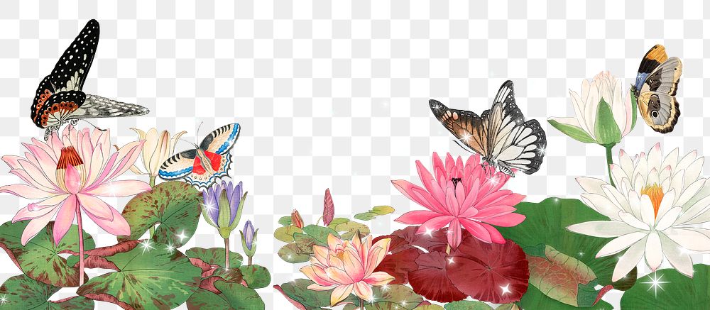 Lotus flowers png border, aesthetic butterfly illustration, transparent background