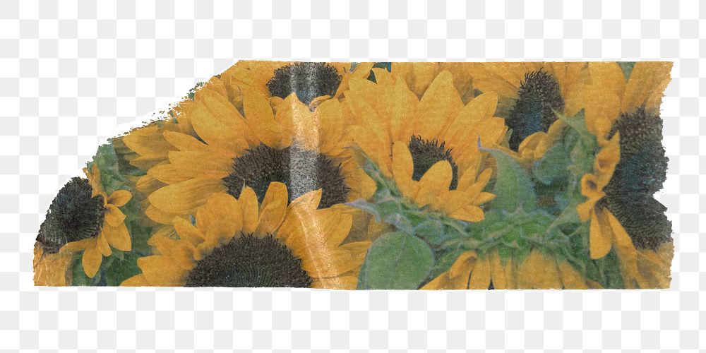 PNG sunflower washi tape, stationery collage element, transparent background