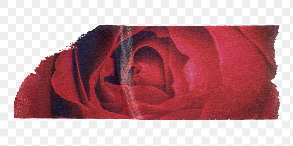 Red rose washi tape png sticker, collage element, transparent background
