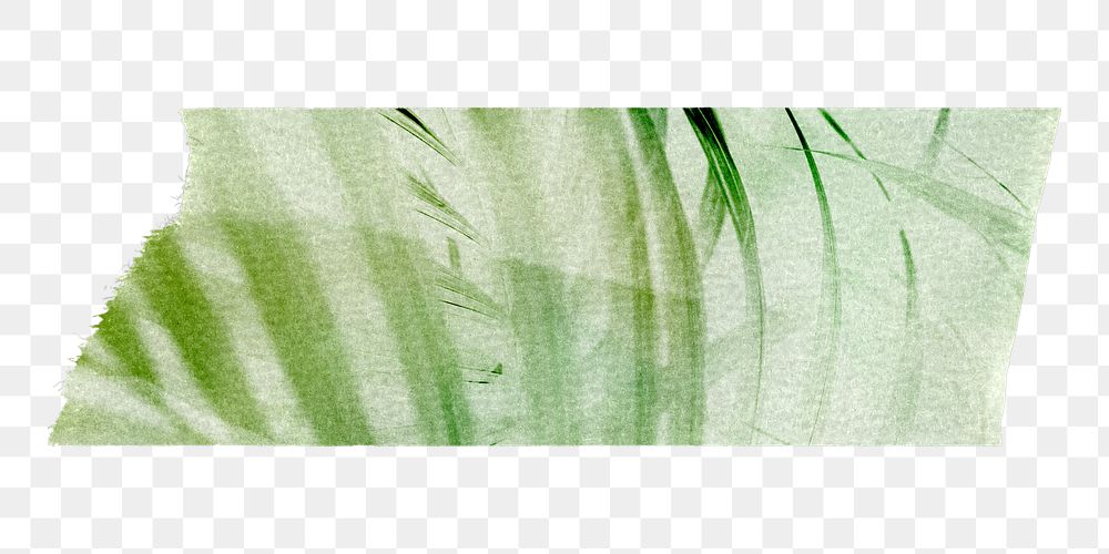 Botanical washi tape png sticker, collage element, transparent background