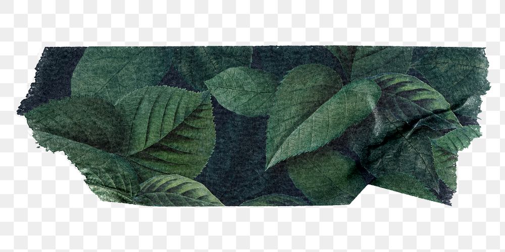 Botanical washi tape png sticker, collage element, transparent background