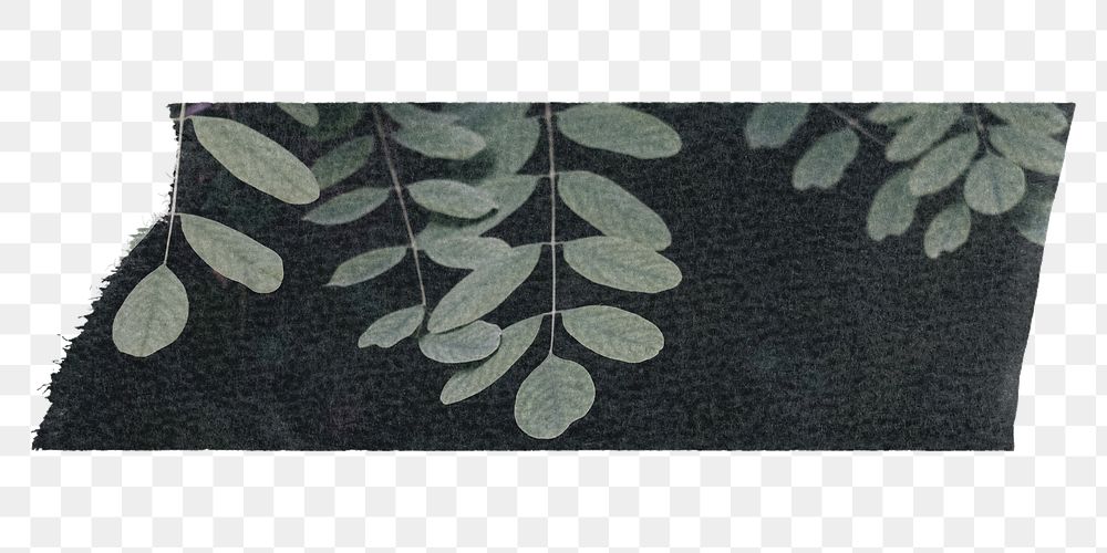 Leaves washi tape png sticker, collage element, transparent background