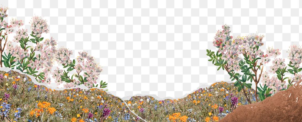 Flower field png sticker nature design, transparent background
