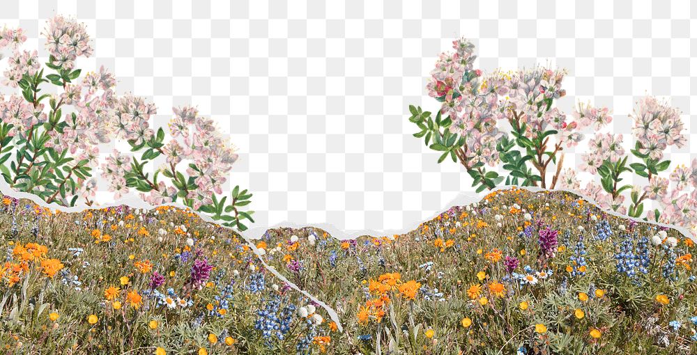 Flower field png sticker nature design, transparent background