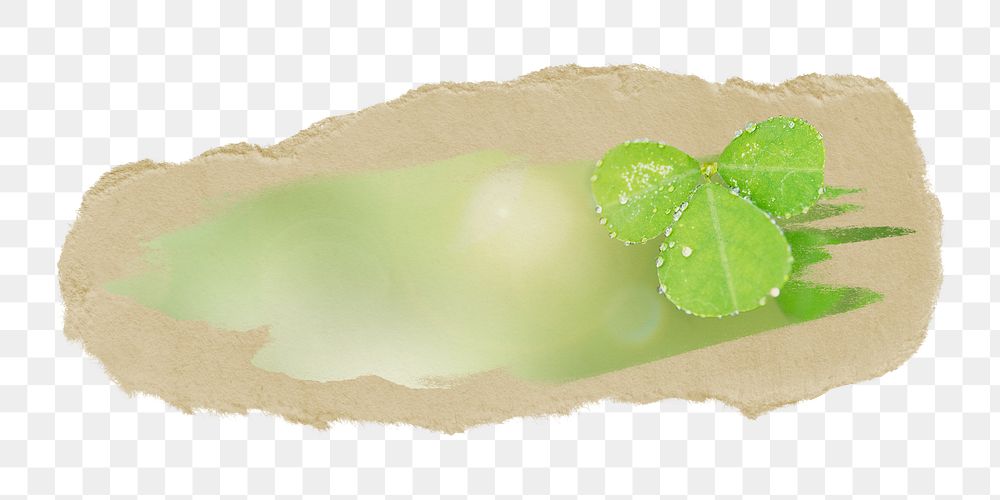 PNG Green leaves with water drops, collage element, transparent background