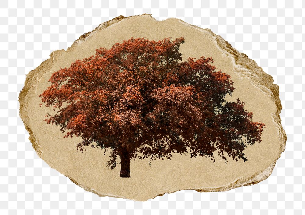 Autumn tree png ripped paper sticker, transparent background