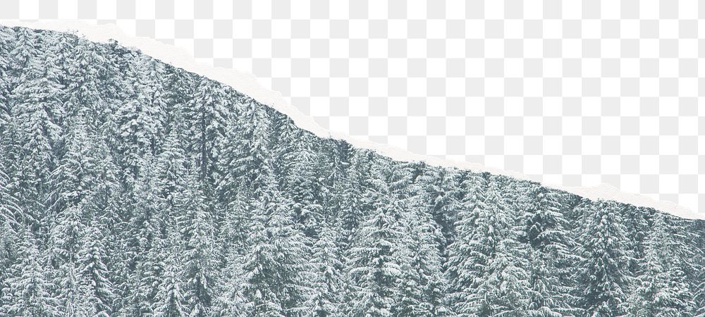 Png snowy forest border, torn paper collage, transparent background