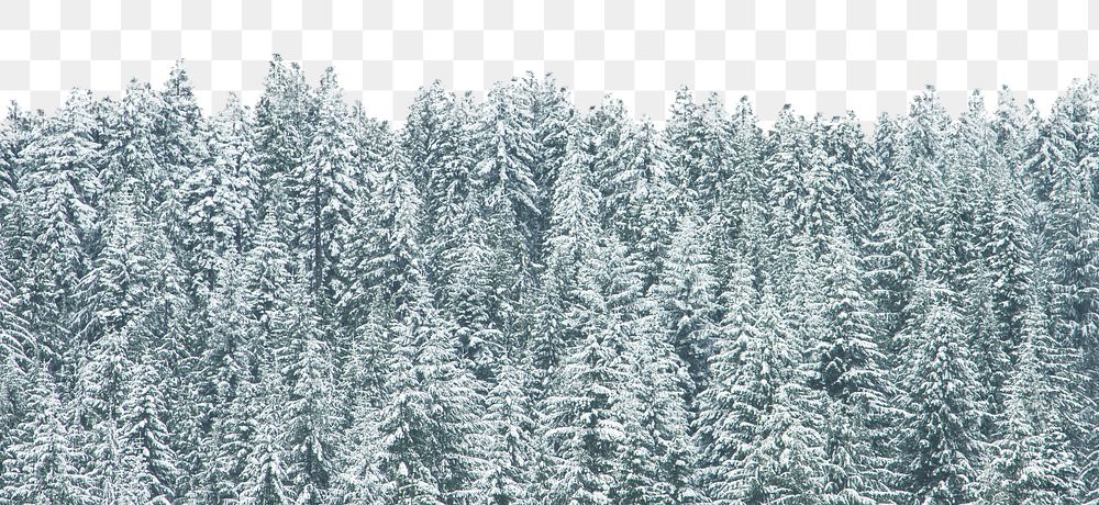 Snowy forest png collage, beautiful scenery, transparent background
