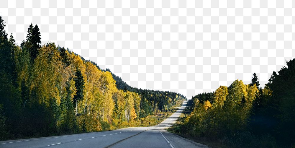 Countryside road  png border, pine forest image, transparent background