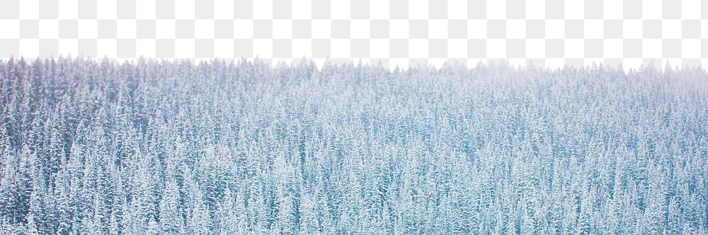 Snow covered png woodland border, nature image, transparent background