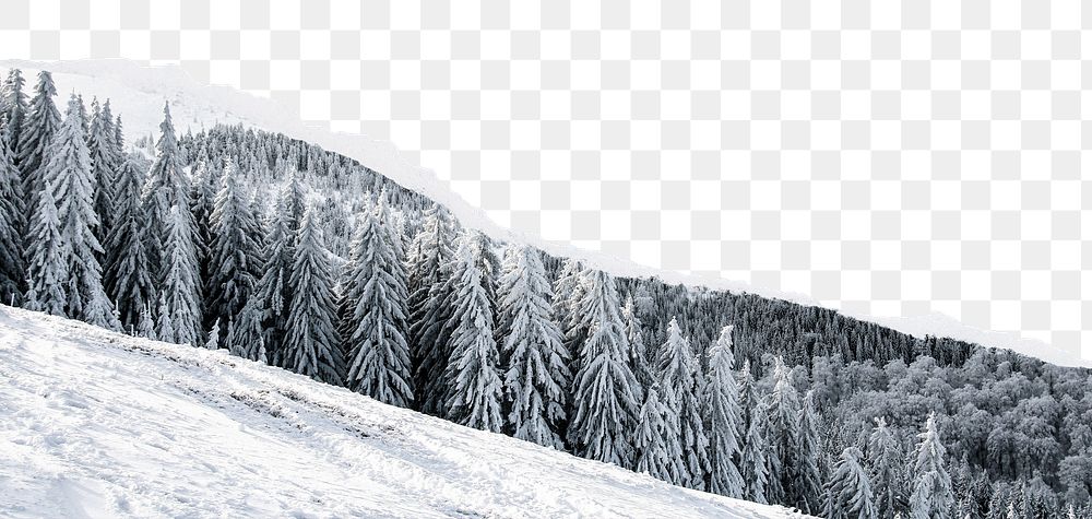 Winter forest png border, torn paper design, transparent background