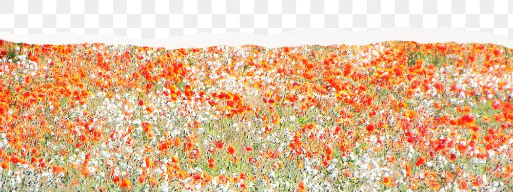 Flower field png collage, ripped paper effect, transparent background