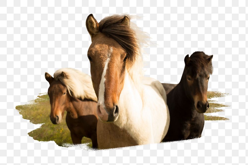 PNG Three horses standing close to each other, collage element, transparent background