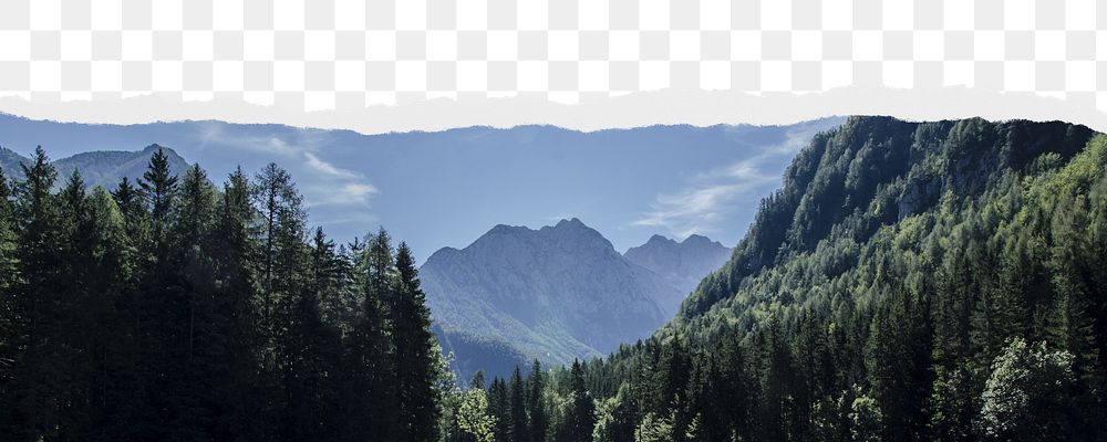 Forest landscape png border, torn paper design, transparent background