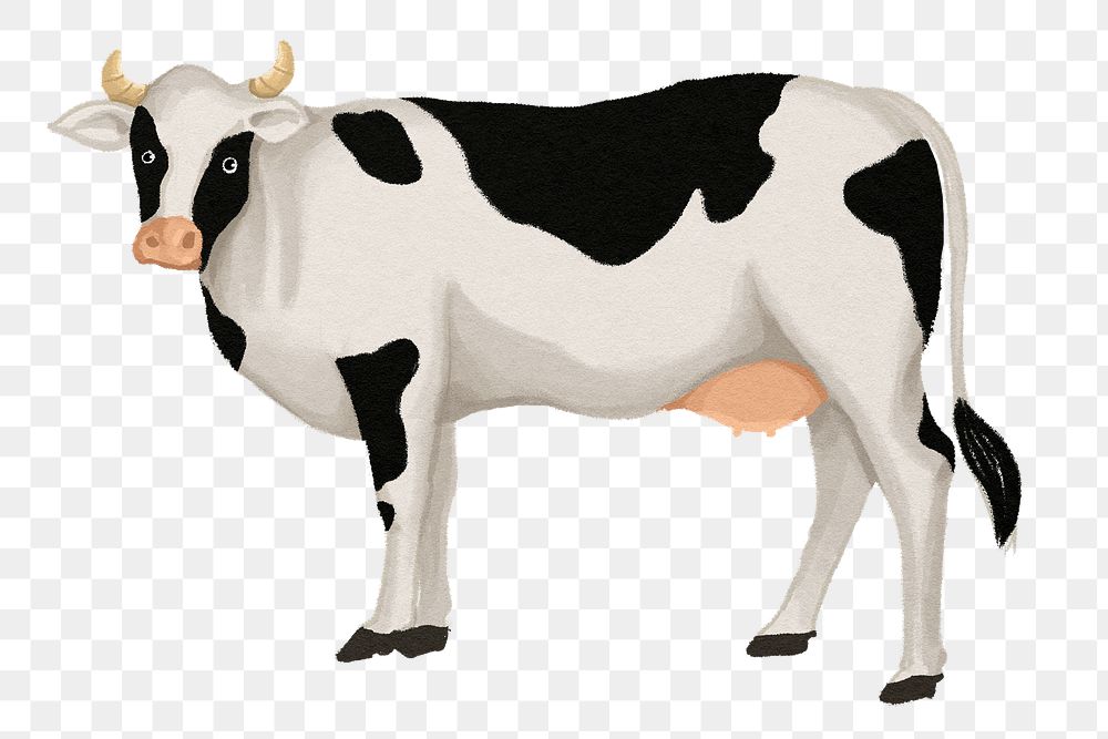 Dairy cattle, cow png sticker, | Premium PNG - rawpixel