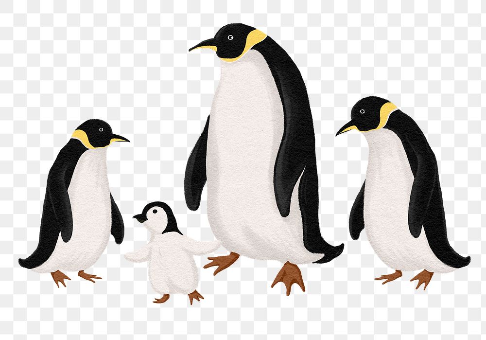 Penguin family png sticker, watercolor animal illustration, transparent background