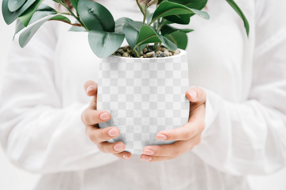 Plant pot mockup, png transparent