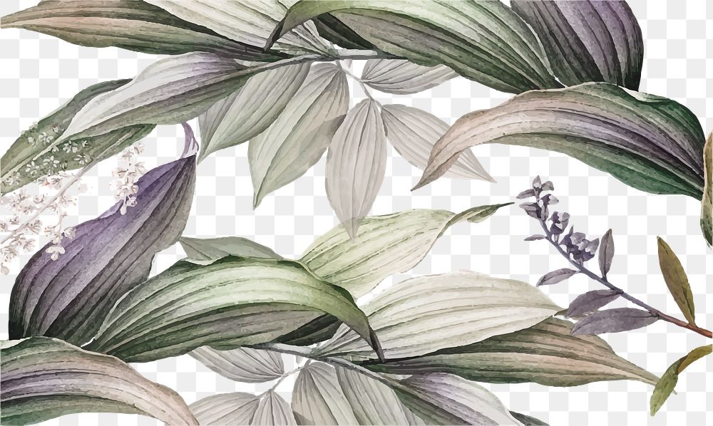Botanical illustration png border sticker, vintage, transparent background